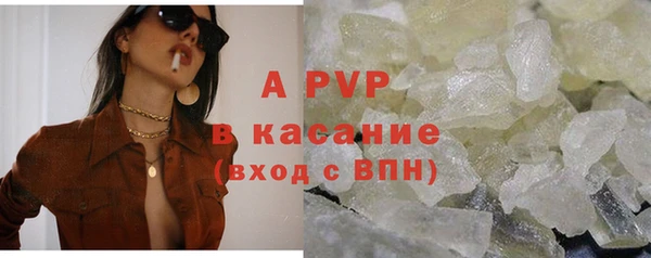 трава Гусиноозёрск