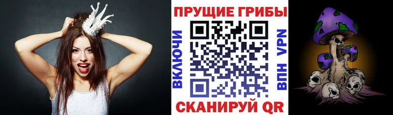 где купить   kraken зеркало  Псилоцибиновые грибы ЛСД  Касли 